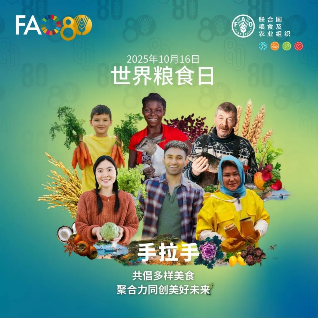 1760582166757373.jpeg 1760582166757373.jpeg